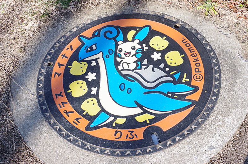 ポケふた（ラプラス＆マイナン）