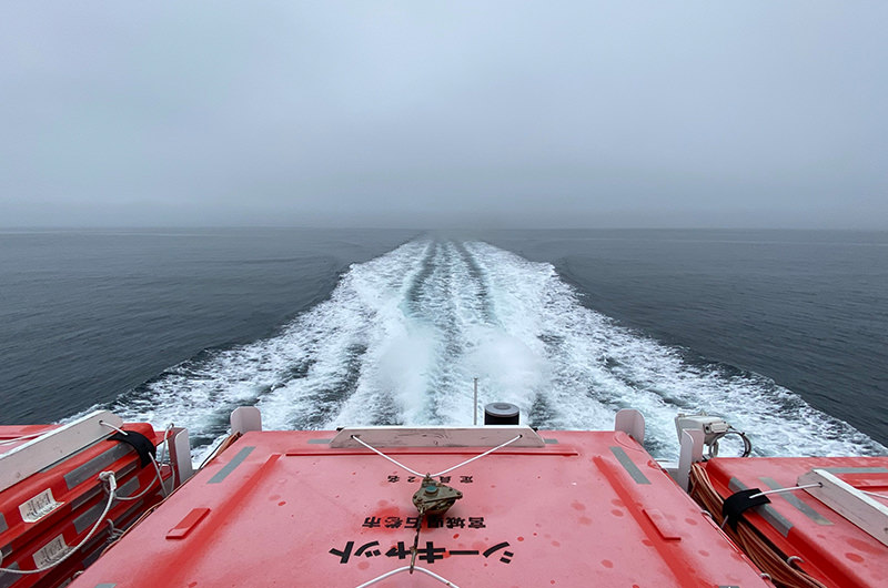 フェリー「シーキャット」からの風景