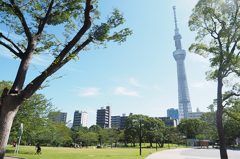 隅田公園