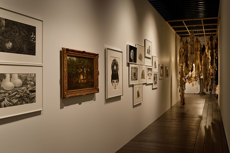 展示室をつなぐ森の小径