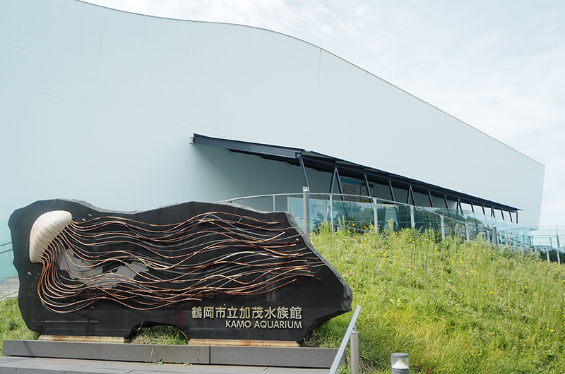 加茂水族館