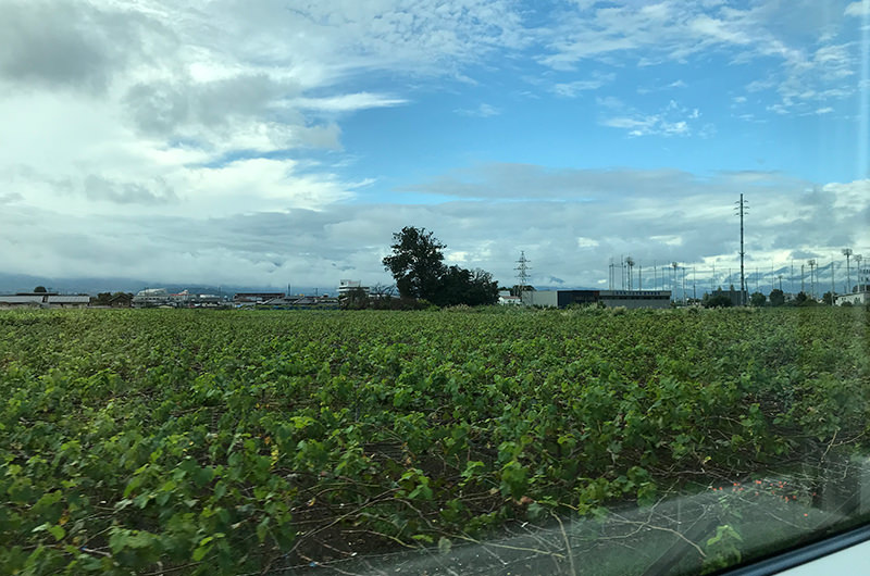 特急あずさ　車窓
