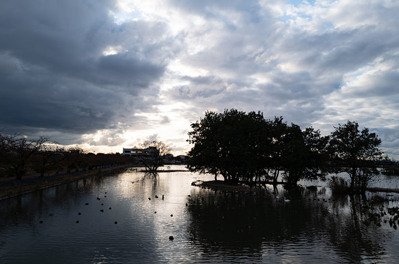 日が暮れていく瓢湖