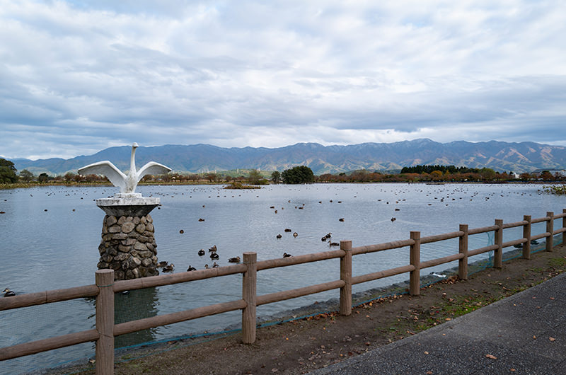 瓢湖 白鳥のモニュメント