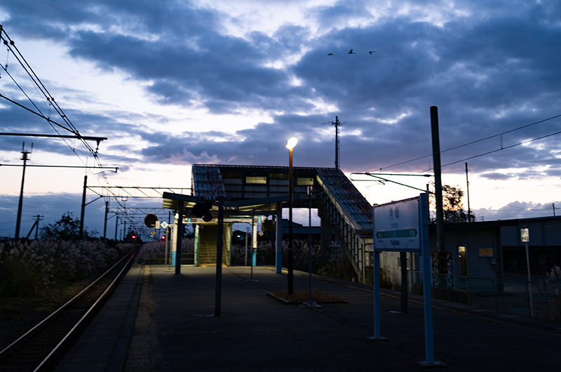 月岡駅　3羽の白鳥