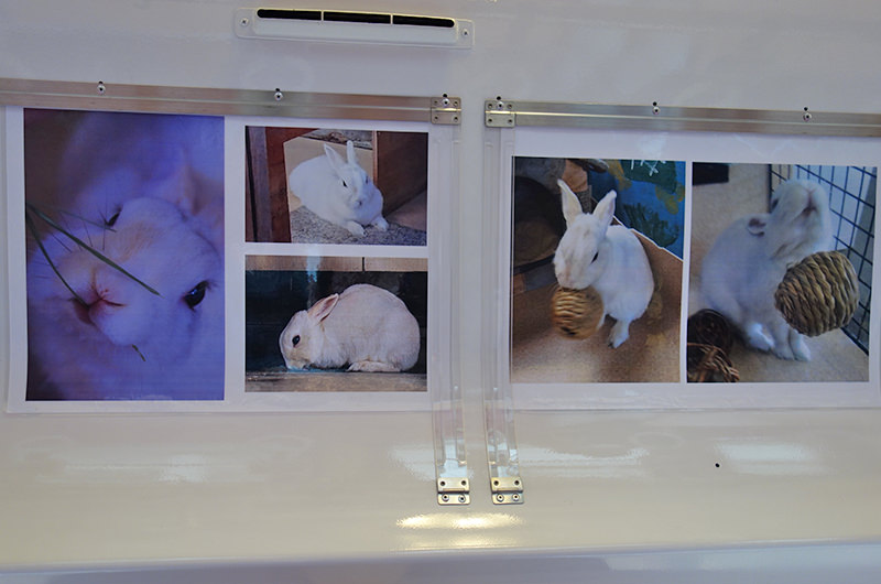 宮内駅 ウサギの駅長