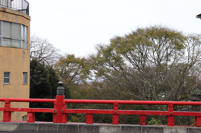 逢初橋からの景色