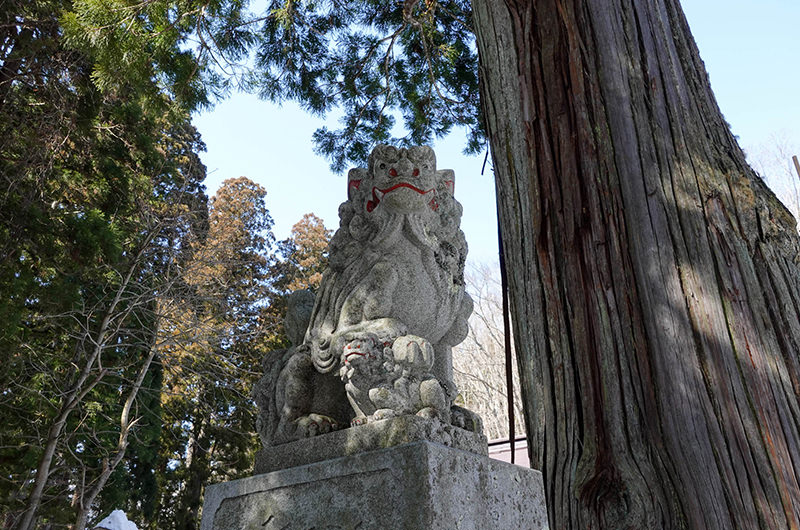 戸隠神社 中社 狛犬