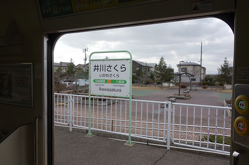 井川さくら駅看板
