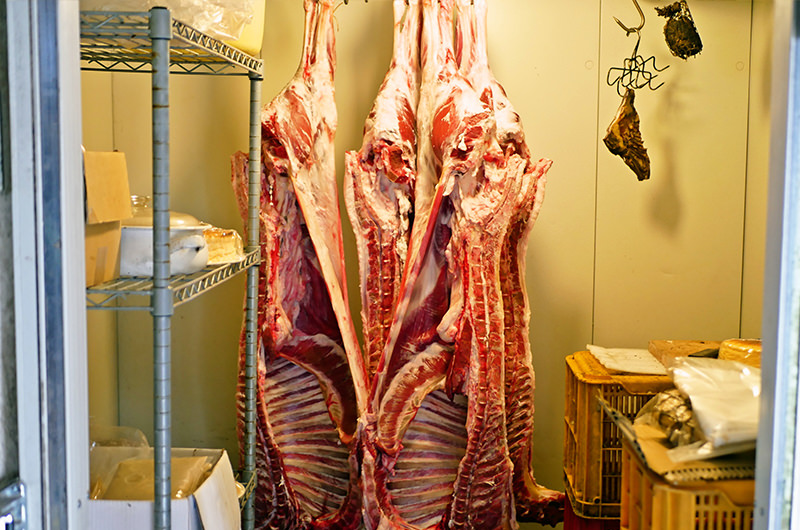 冷蔵庫の羊肉