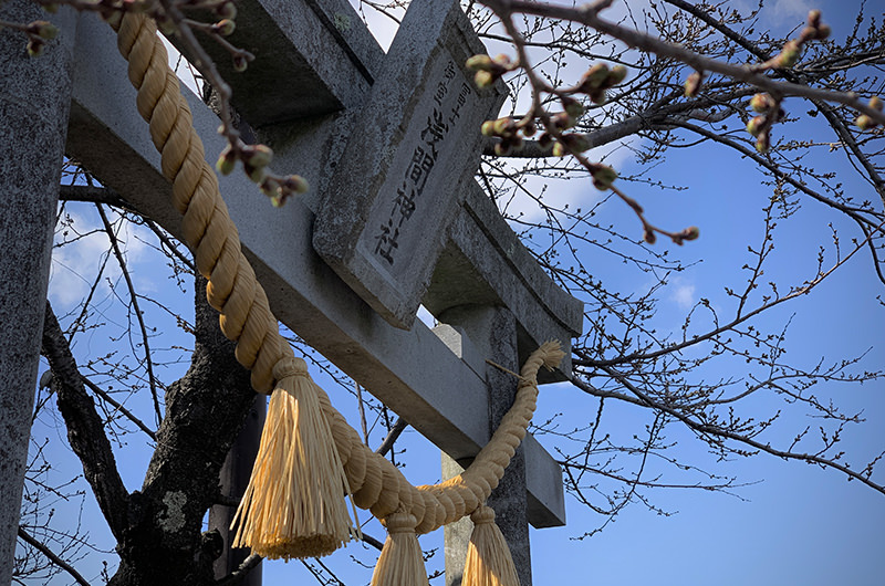 冨士御室浅間神社
