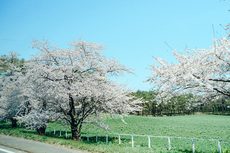 バス車窓 小岩井農場