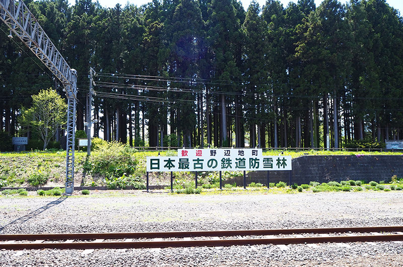 野辺地駅 日本最古の鉄道防雪林