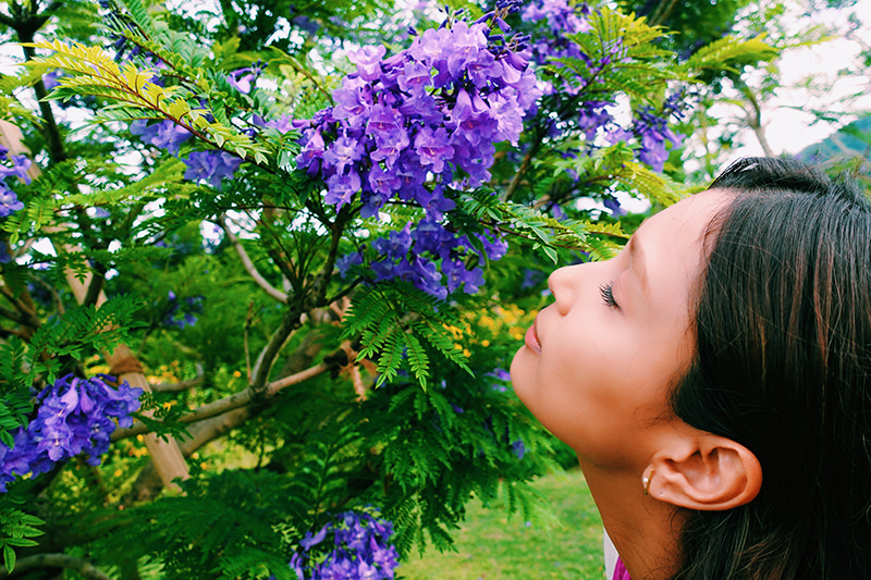 熱海　ジャカランダと筆者