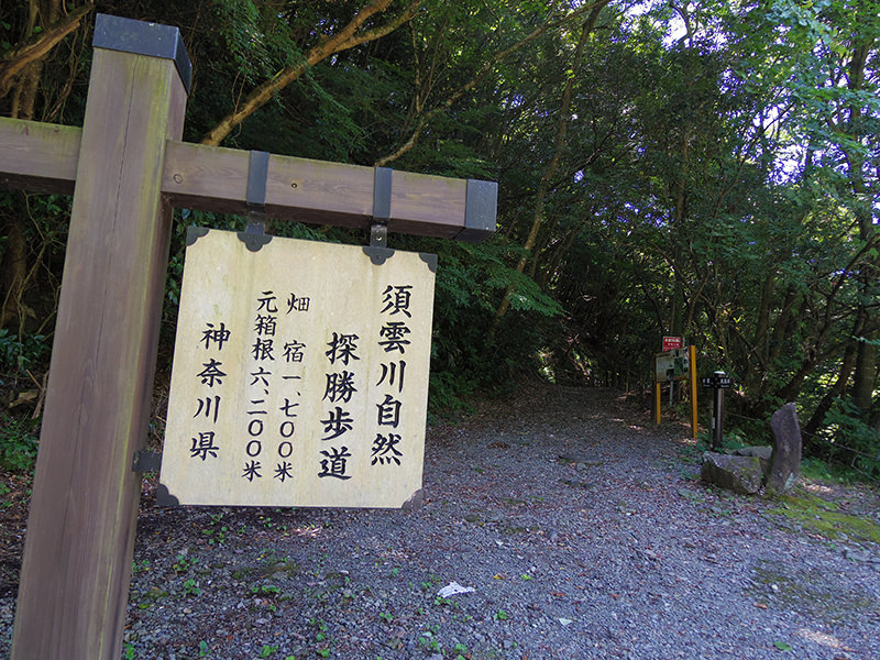 箱根旧街道　登山口