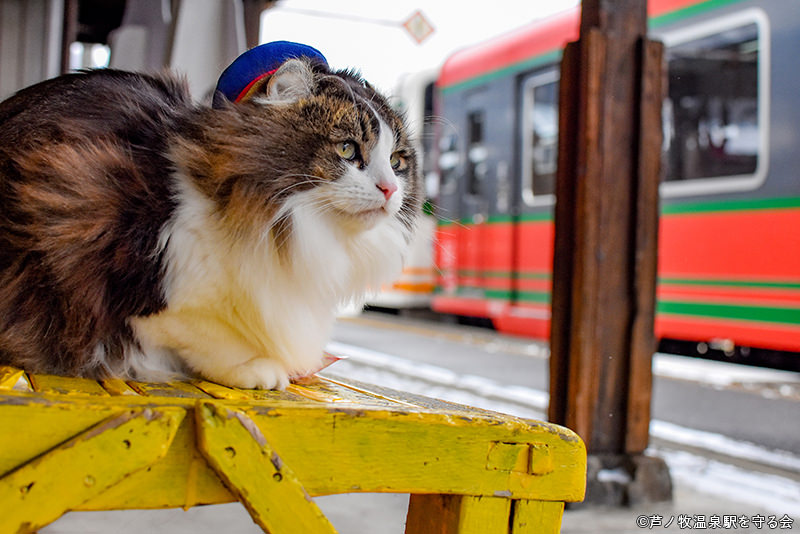 写真提供：芦ノ牧温泉駅