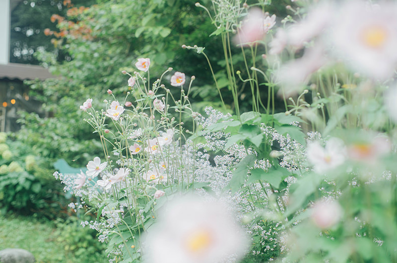 ナチュラルガーデン