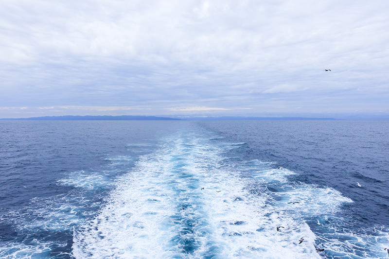 カーフェリーからの景色