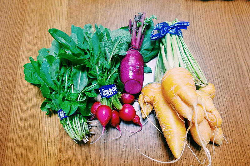 鎌倉で採れた野菜