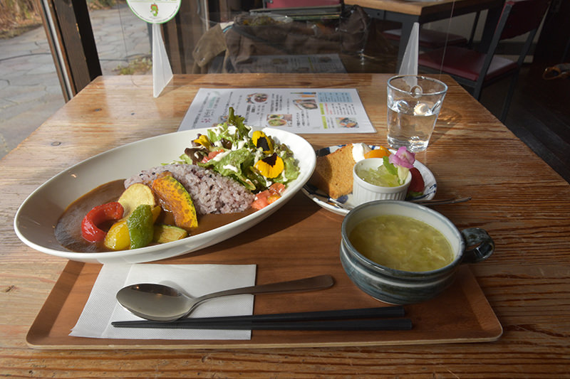 信州むらさき米と季節野菜の菜園風カレー