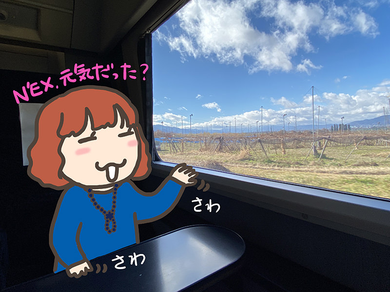 特急スノーモンキー　車窓