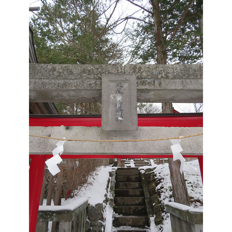 九尾稲荷神社　鳥居