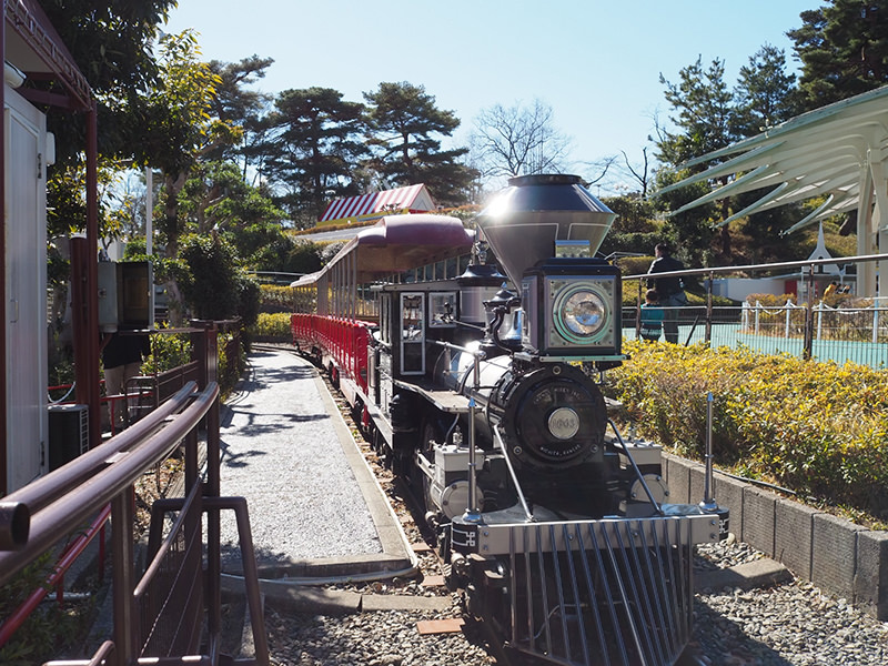 レオとライヤの夕日列車