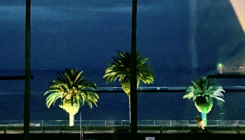 ダイニングからの展望