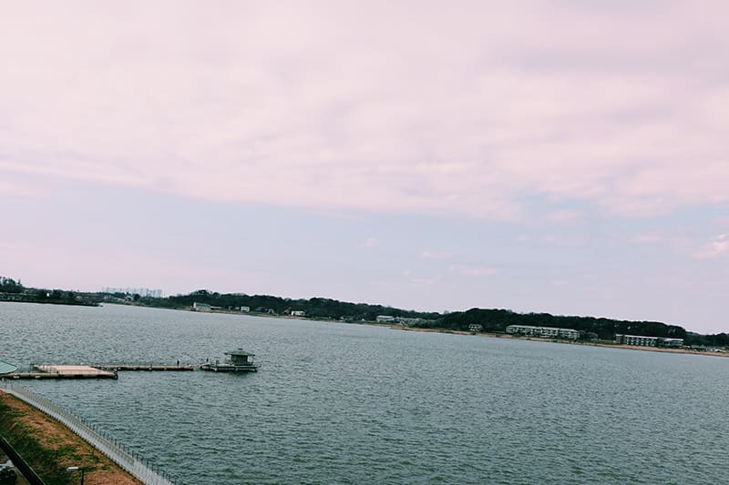 部屋からの眺め