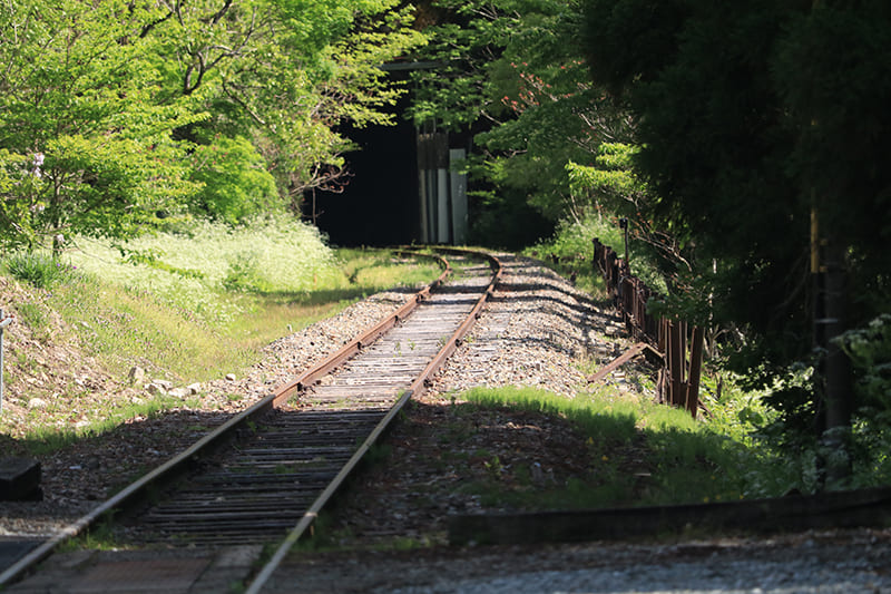 ガッタンゴー　渓谷コース