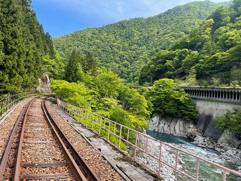 ガッタンゴー　渓谷コース