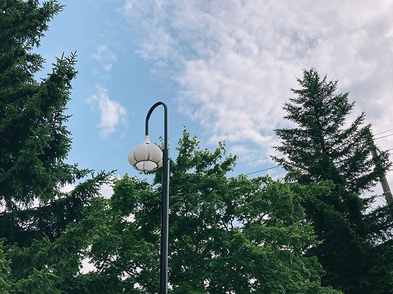 田子町　にんにく型の街灯