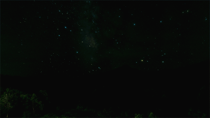 ホテルからの眺め