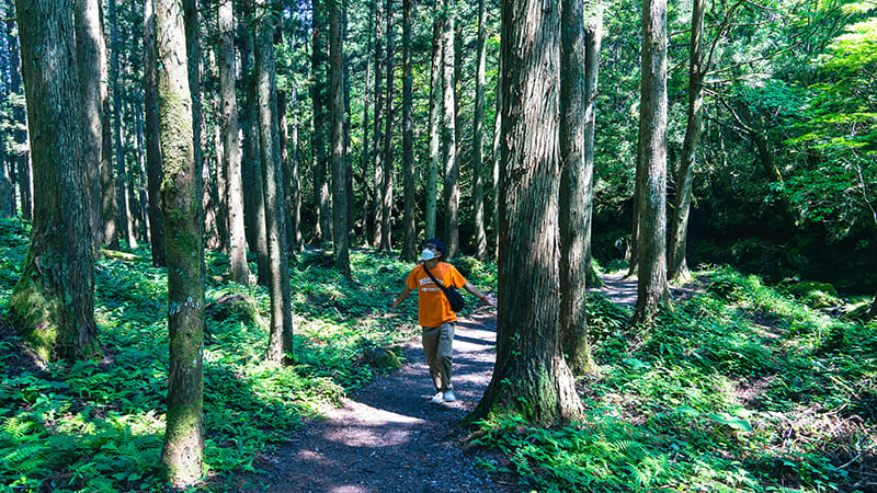 元滝伏流水への道
