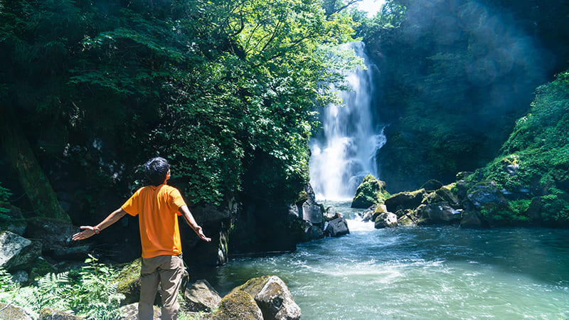 奈曽の白滝　筆者