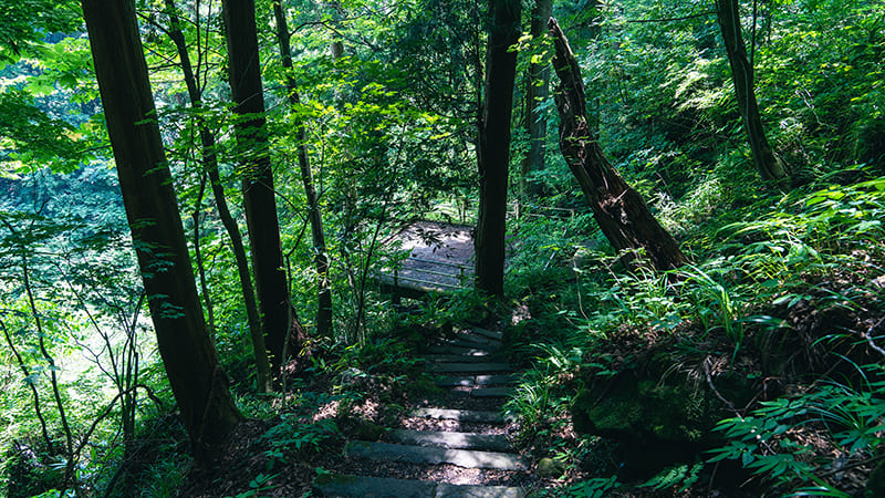 展望台へ向かう