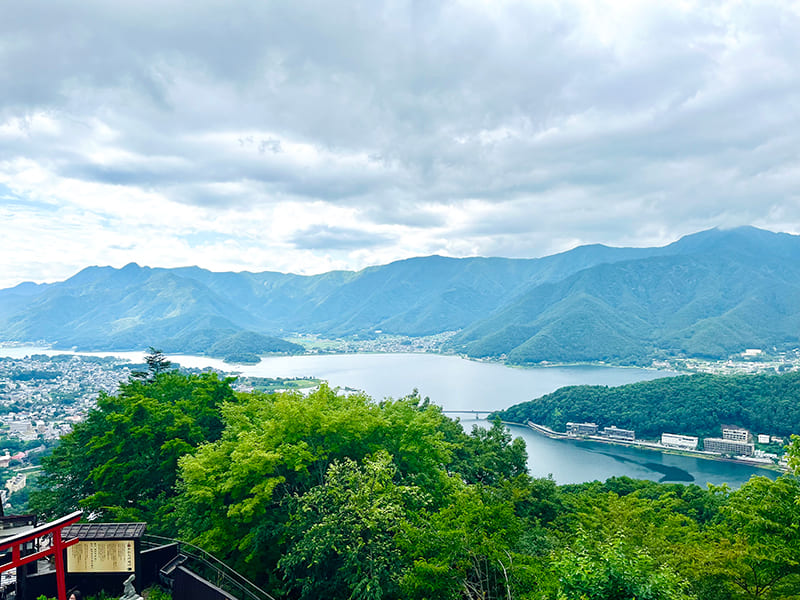 展望エリアからの眺め