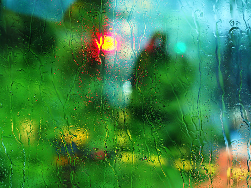 琵琶湖線　車窓