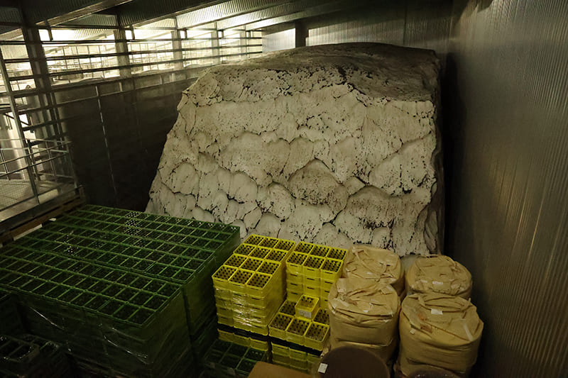 八海山雪室　雪中貯蔵庫