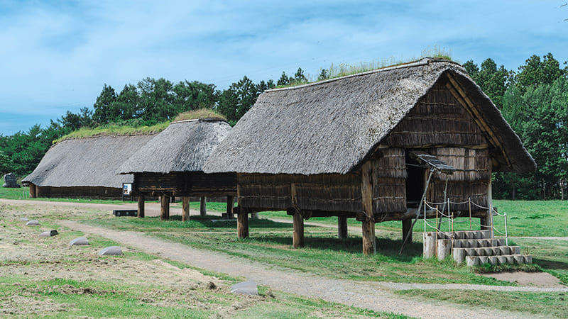 三内丸山遺跡　掘立柱建物（復元）