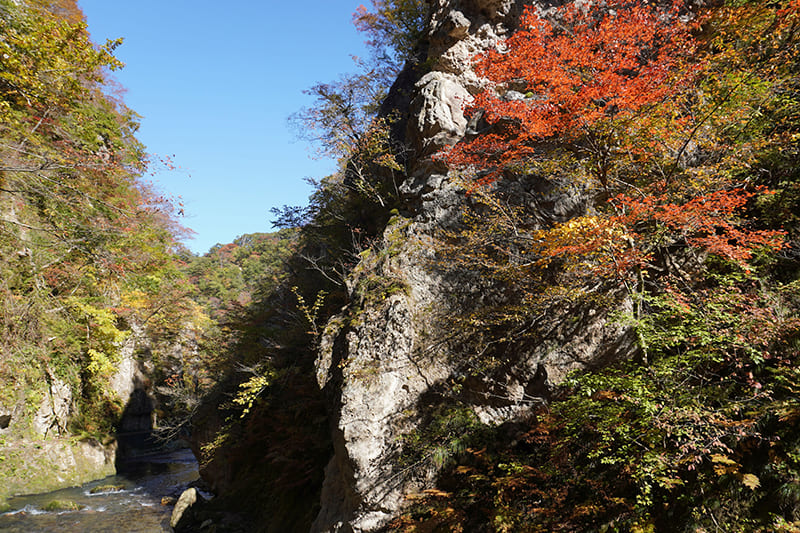 鳴子峡遊歩道　回顧橋付近