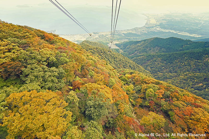 晴れた日の眺め（写真提供：びわ湖バレイ）
