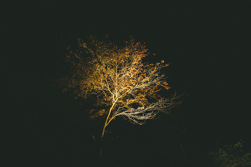 貴船もみじ灯篭　街道沿い