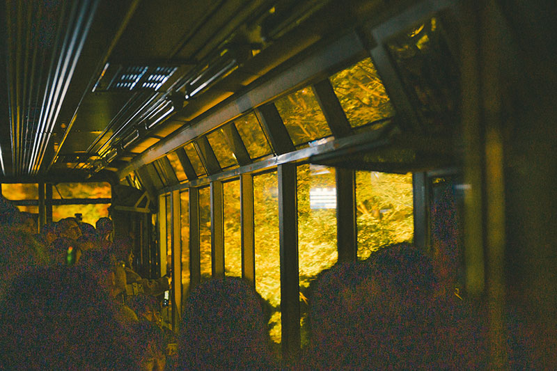 叡山電車　もみじのトンネル