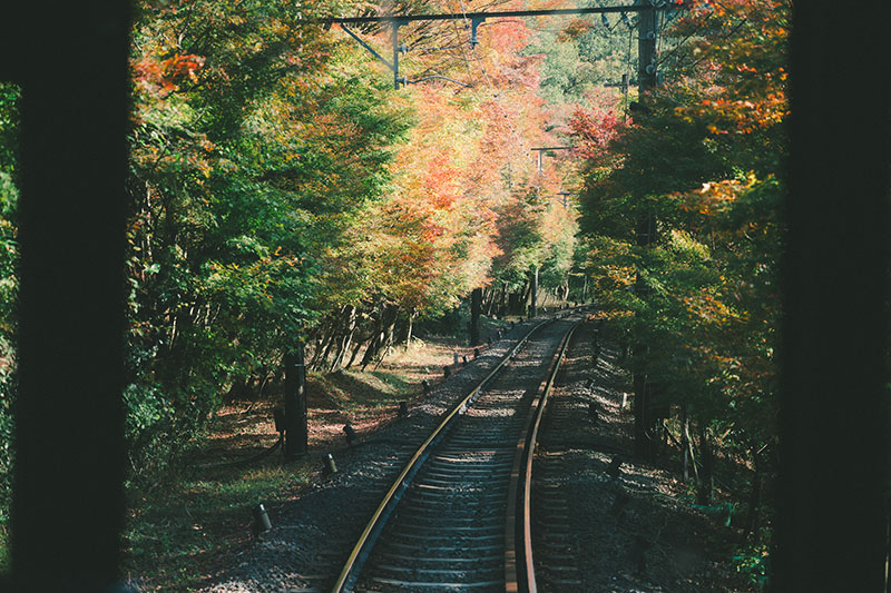 展望列車「きらら」　車窓
