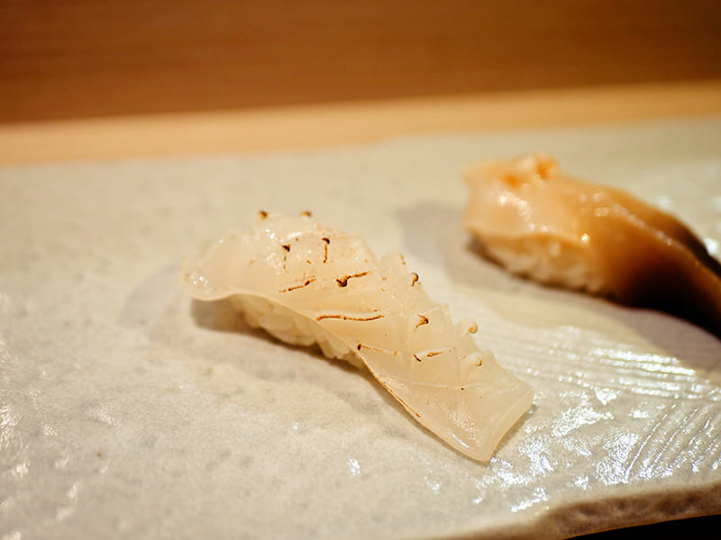 すし三陸前　ヤリイカ