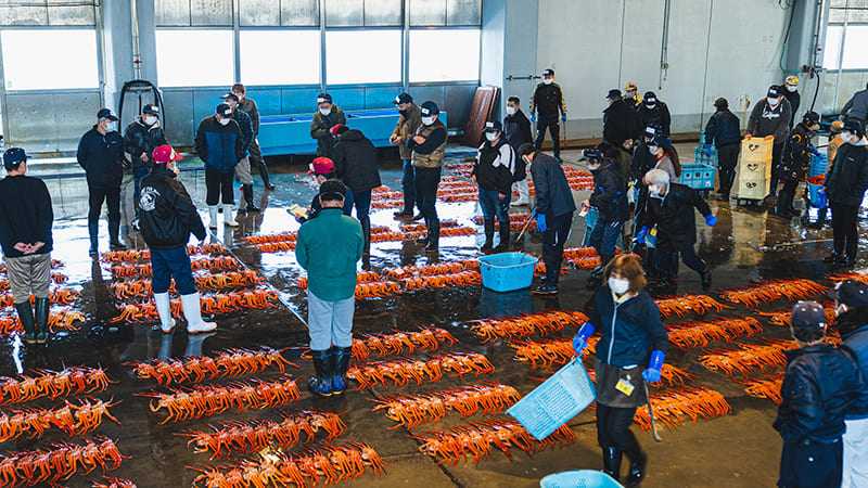 新湊漁港　昼セリの様子