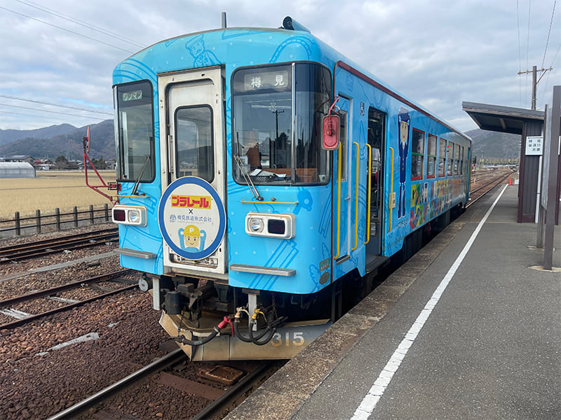 プラレールラッピング車両　ハイモ295-315