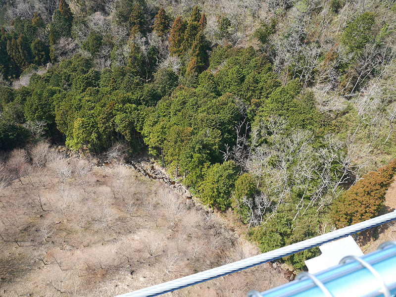 吊橋からの景色
