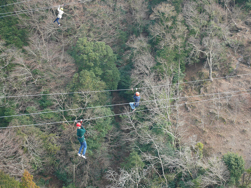 吊橋からの景色